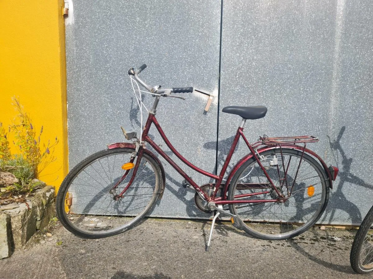 Raleigh, his and hers - Image 3