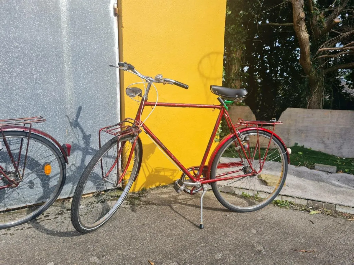 Raleigh, his and hers - Image 4