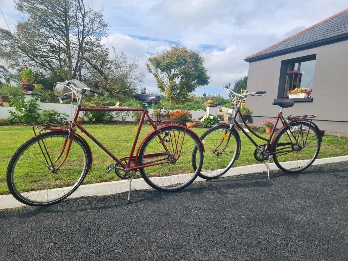 Raleigh, his and hers - Image 1