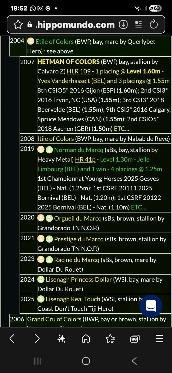 Showjumping broodmare has bred a 160 horse - Image 3