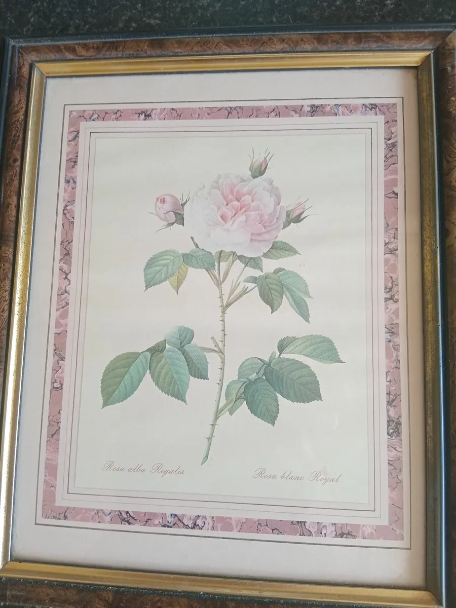 2 interior rose paintings - Image 1