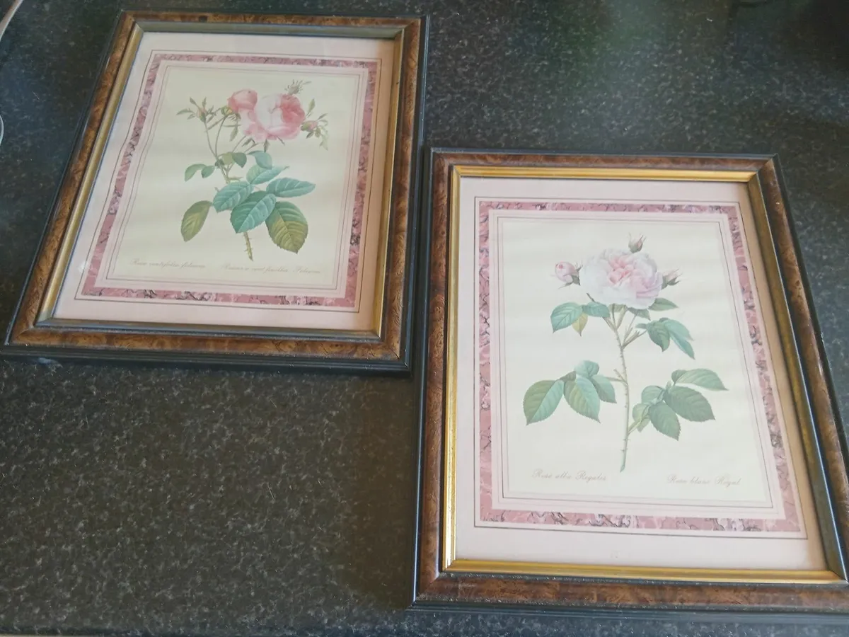 2 interior rose paintings - Image 2