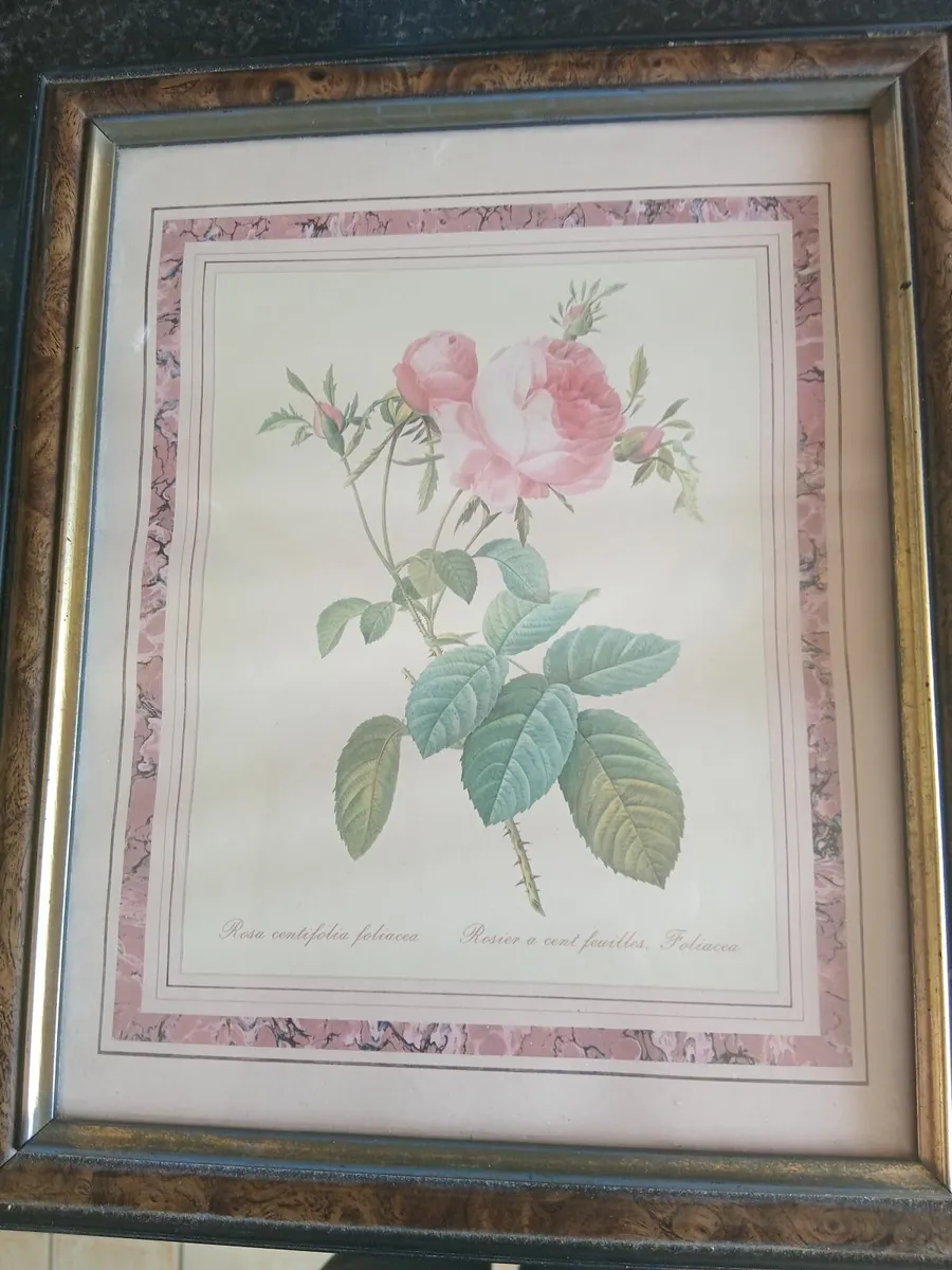 2 interior rose paintings - Image 3