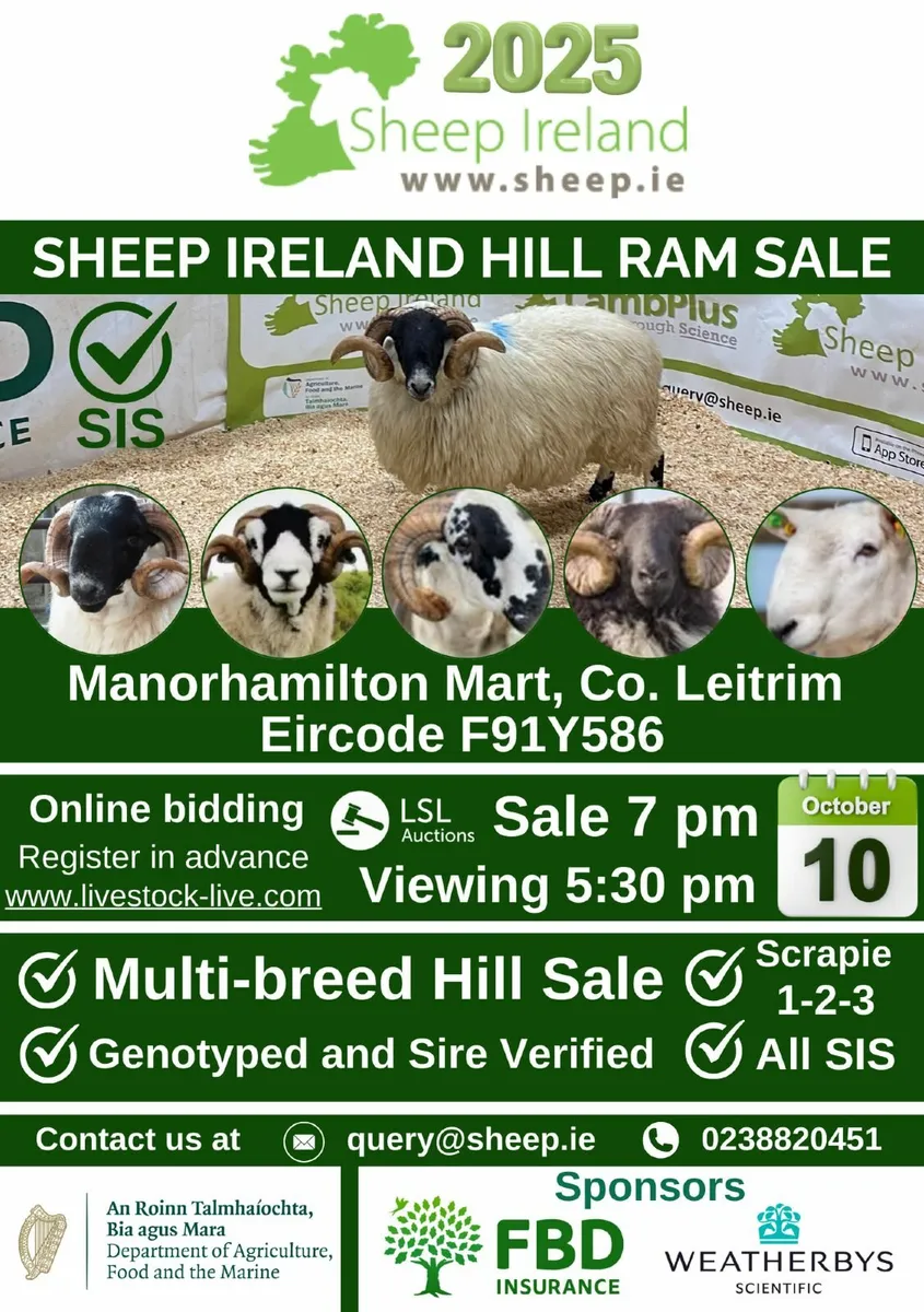 Sheep Ireland Multi-Breed SIS Hill Ram Sale