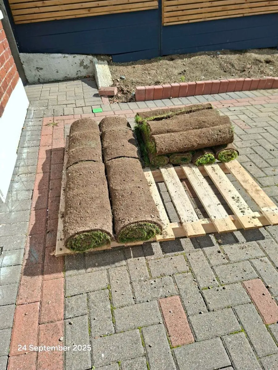 Grass Rolls - Image 1