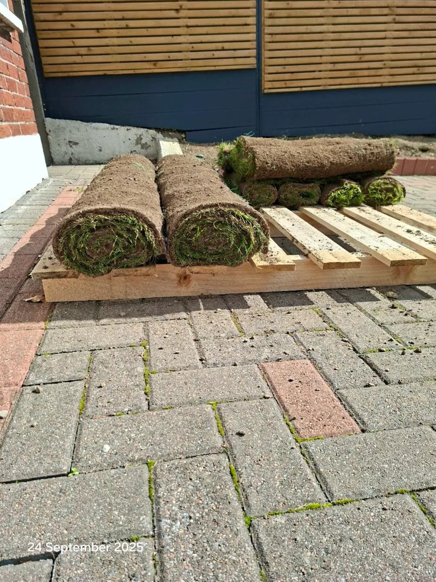 Grass Rolls - Image 2