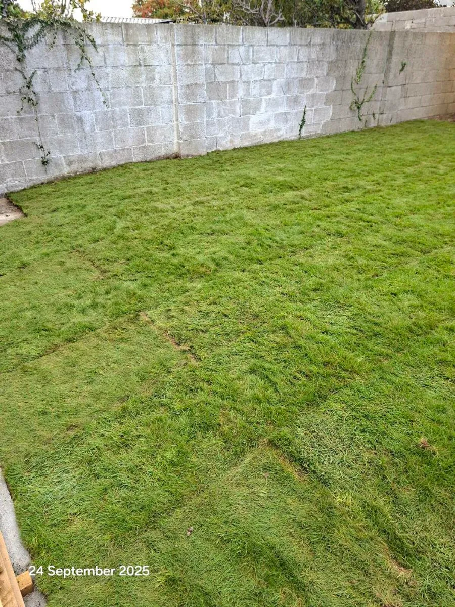 Grass Rolls - Image 3