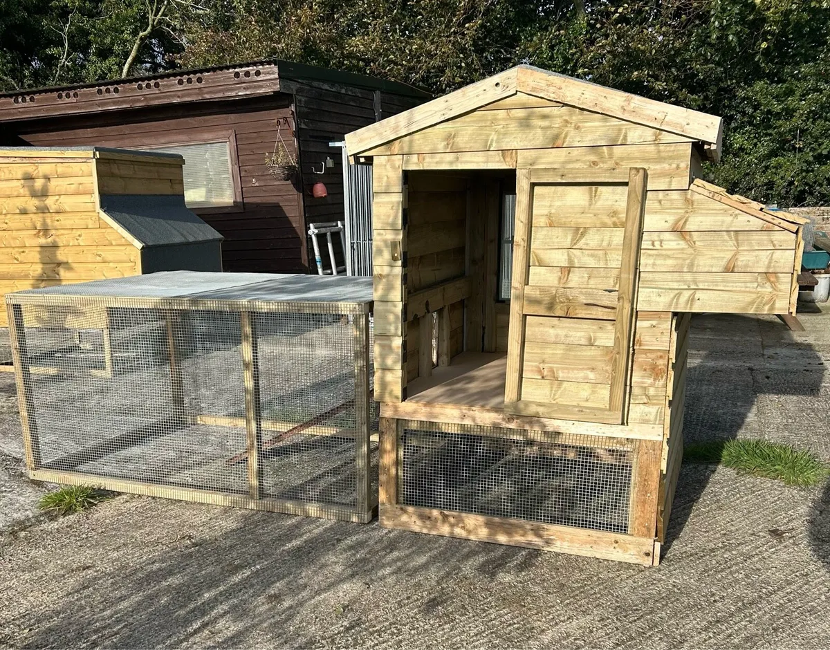 Chicken Coop - Image 4