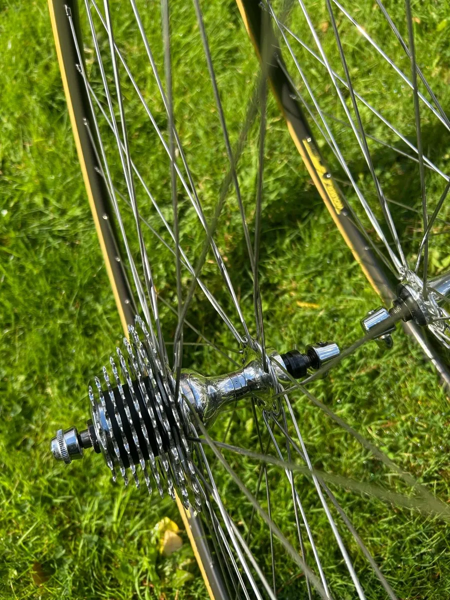 Campagnolo 700c wheels (new) - Image 3