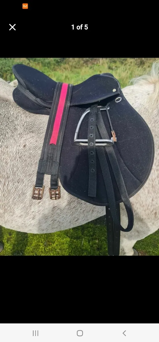 Horse Saddles - Image 1