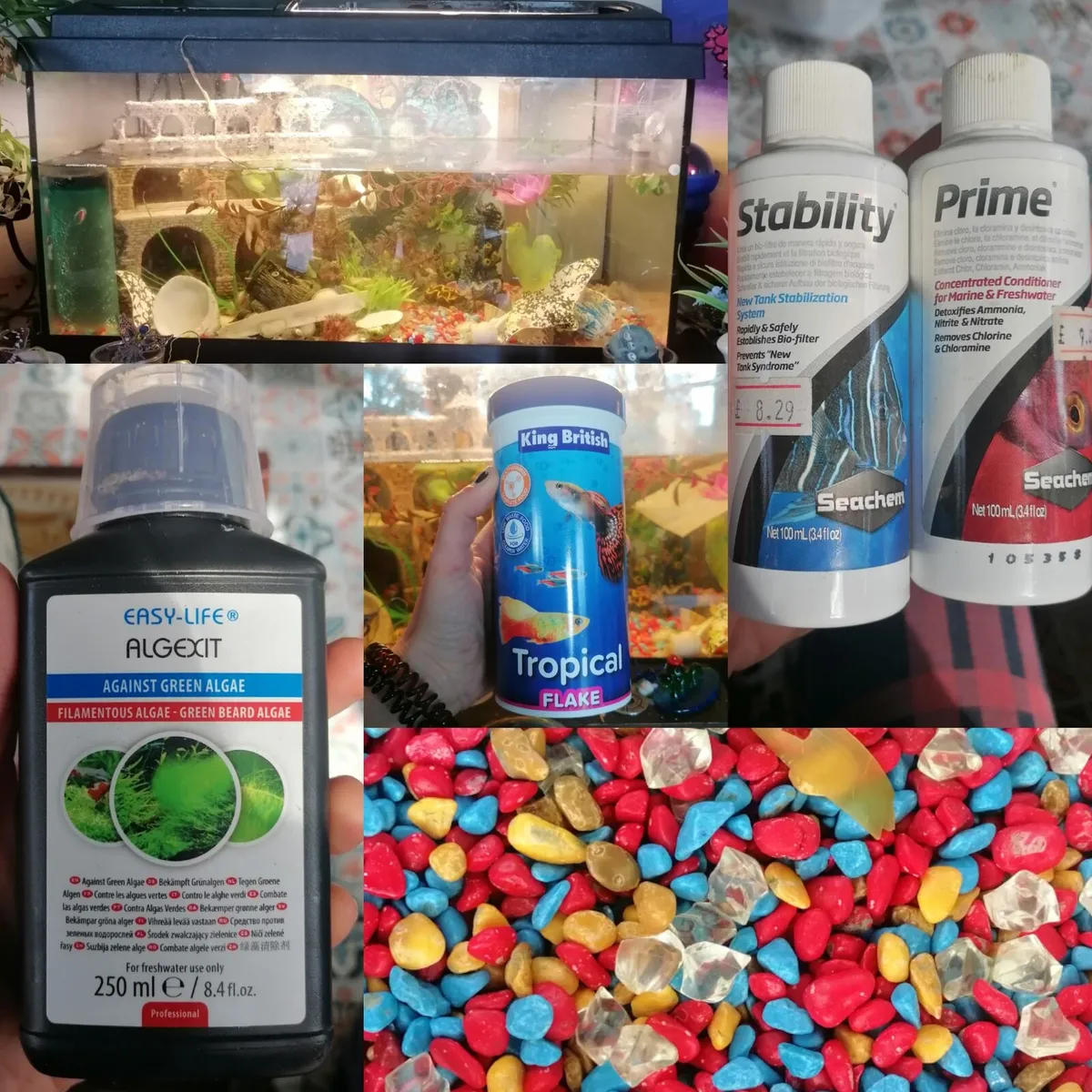Aquarium 50L Bundle - Image 2
