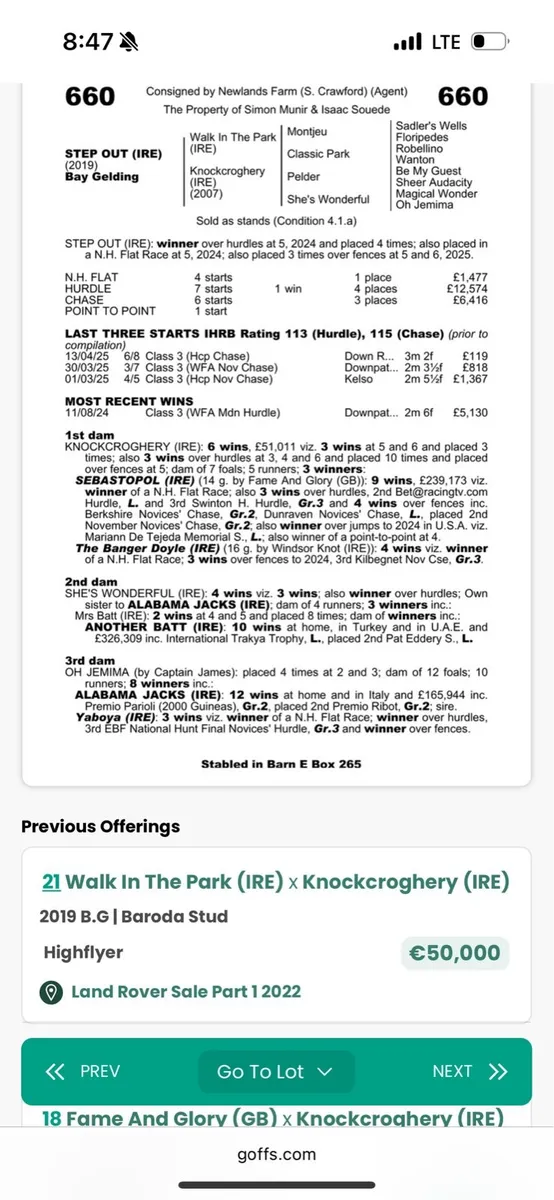 NH mare - Image 2