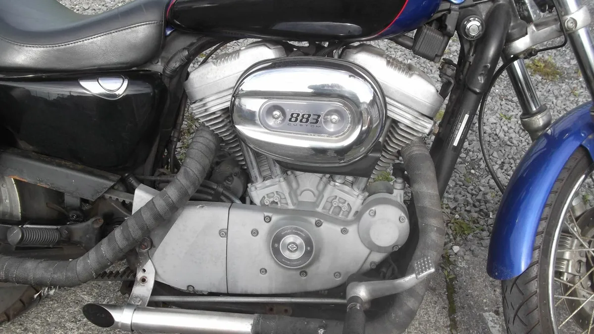 HARLEY DAVIDSON 05 SPORTSTER CUSTOM TRADE UP - Image 2