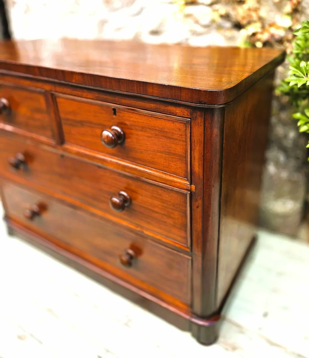 Victorian Low Chest- Circa 1880 - Image 3