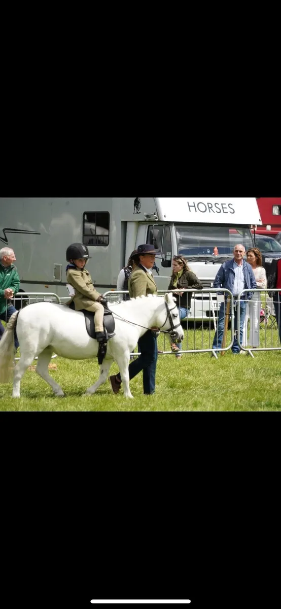 Prefect kids Pony - Image 1
