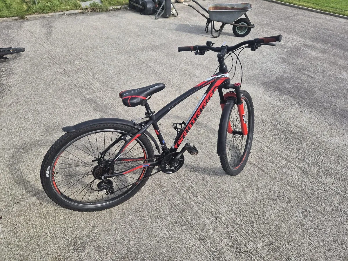 Bike - Image 1