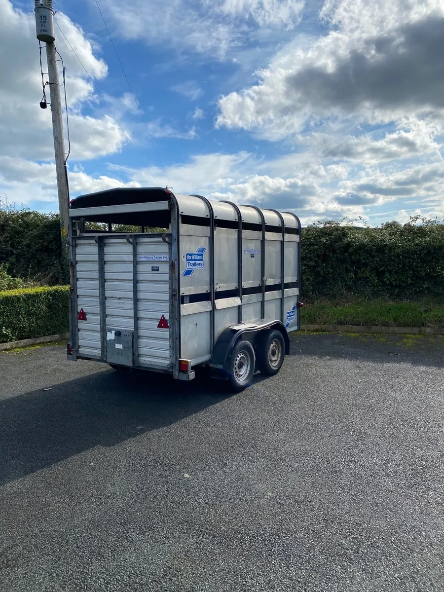Ifor Williams Livestock trailer - Image 2
