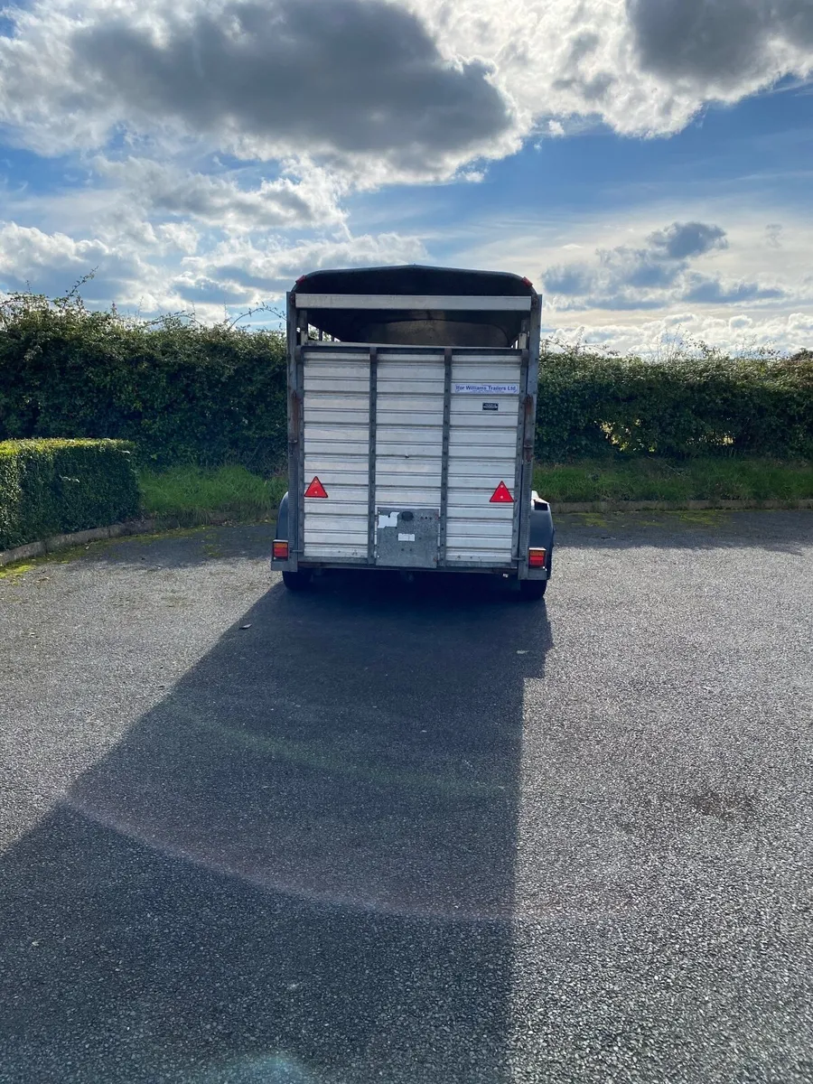 Ifor Williams Livestock trailer - Image 3