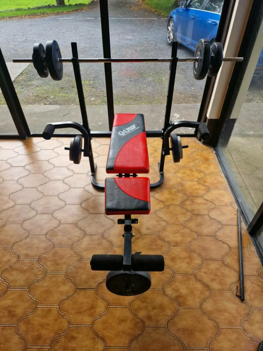 Indoor Weights bench and Push/Pull up stand - Image 3