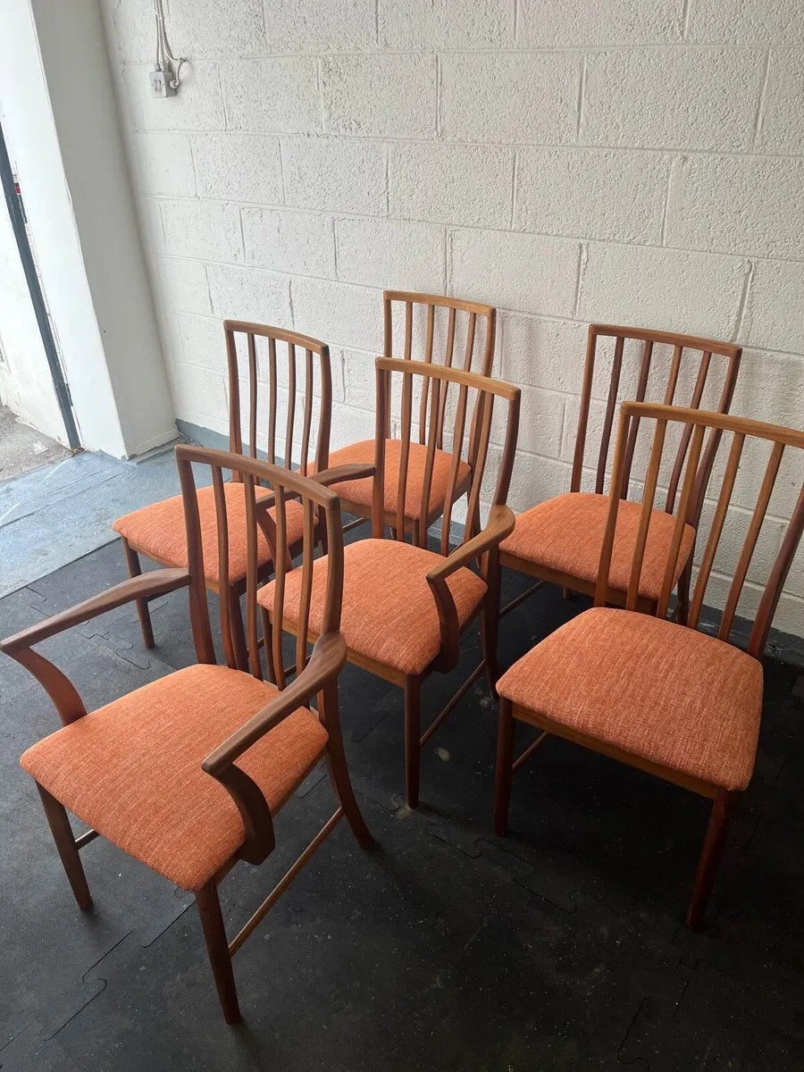Mid century McIntosh dining chairs - Image 1