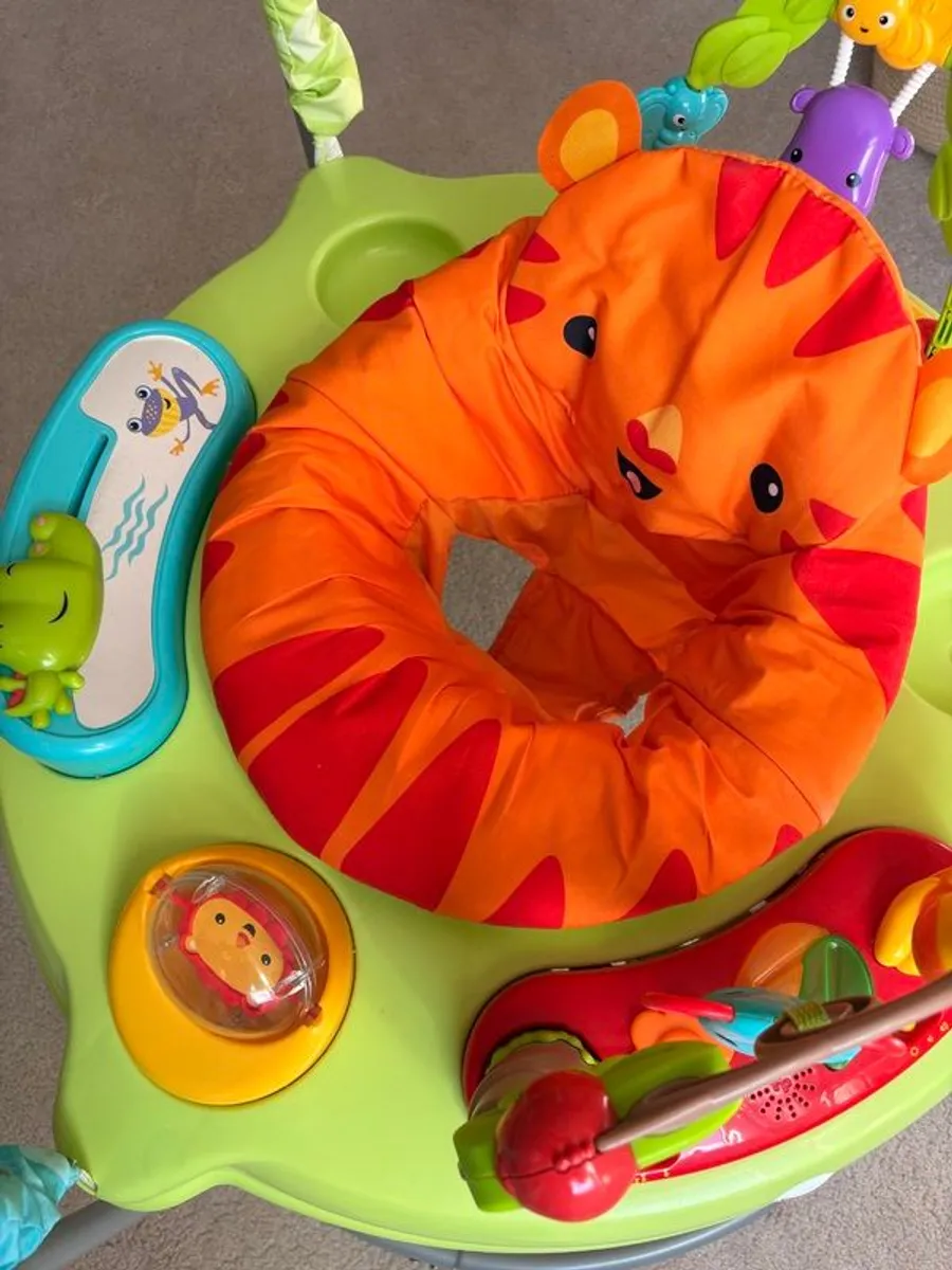 Fisher Price Jumperoo - Image 1