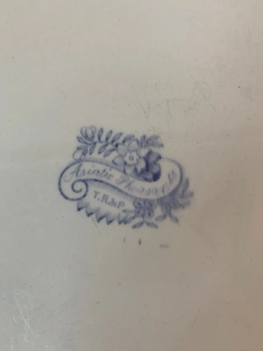 ‘Asiatic Pheasants’ Antique Serving Platter - Image 2