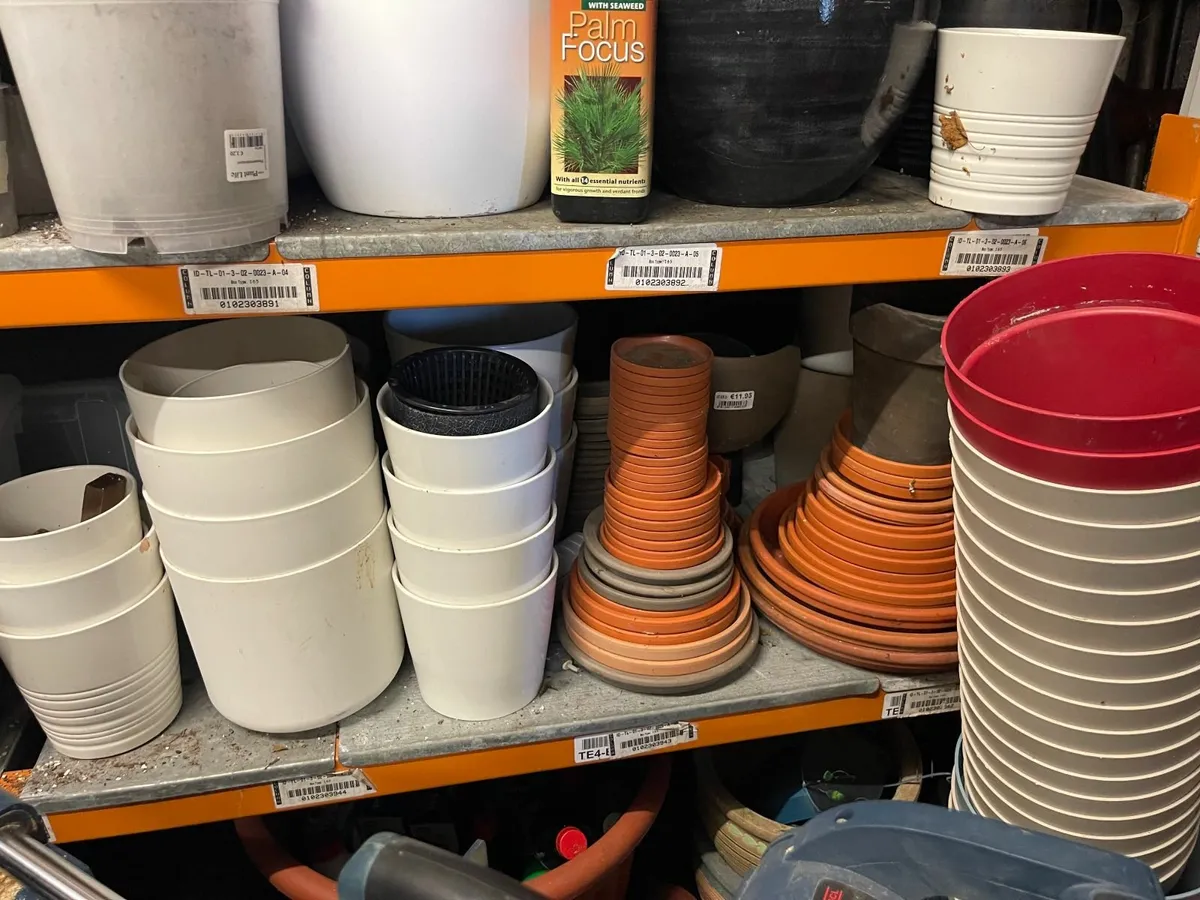 Plant pots - Image 2