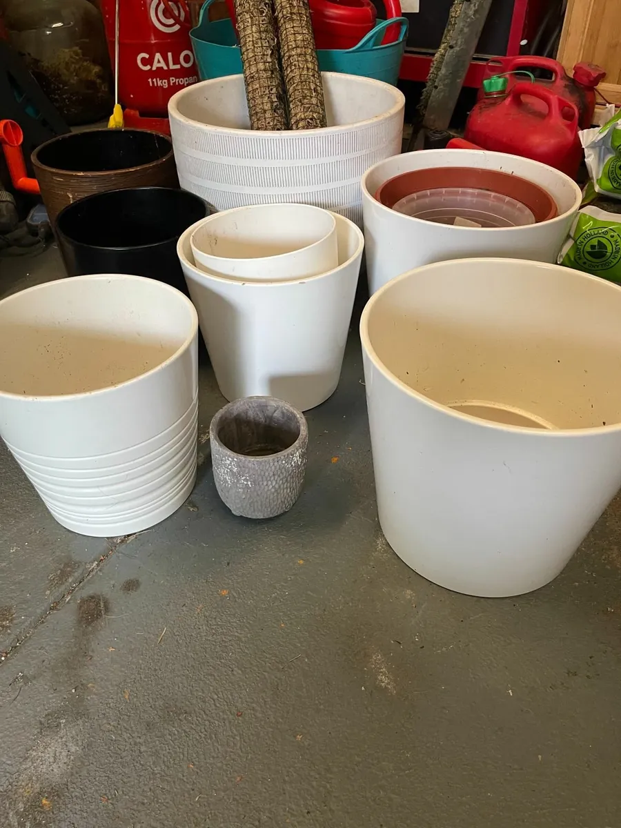 Plant pots - Image 3