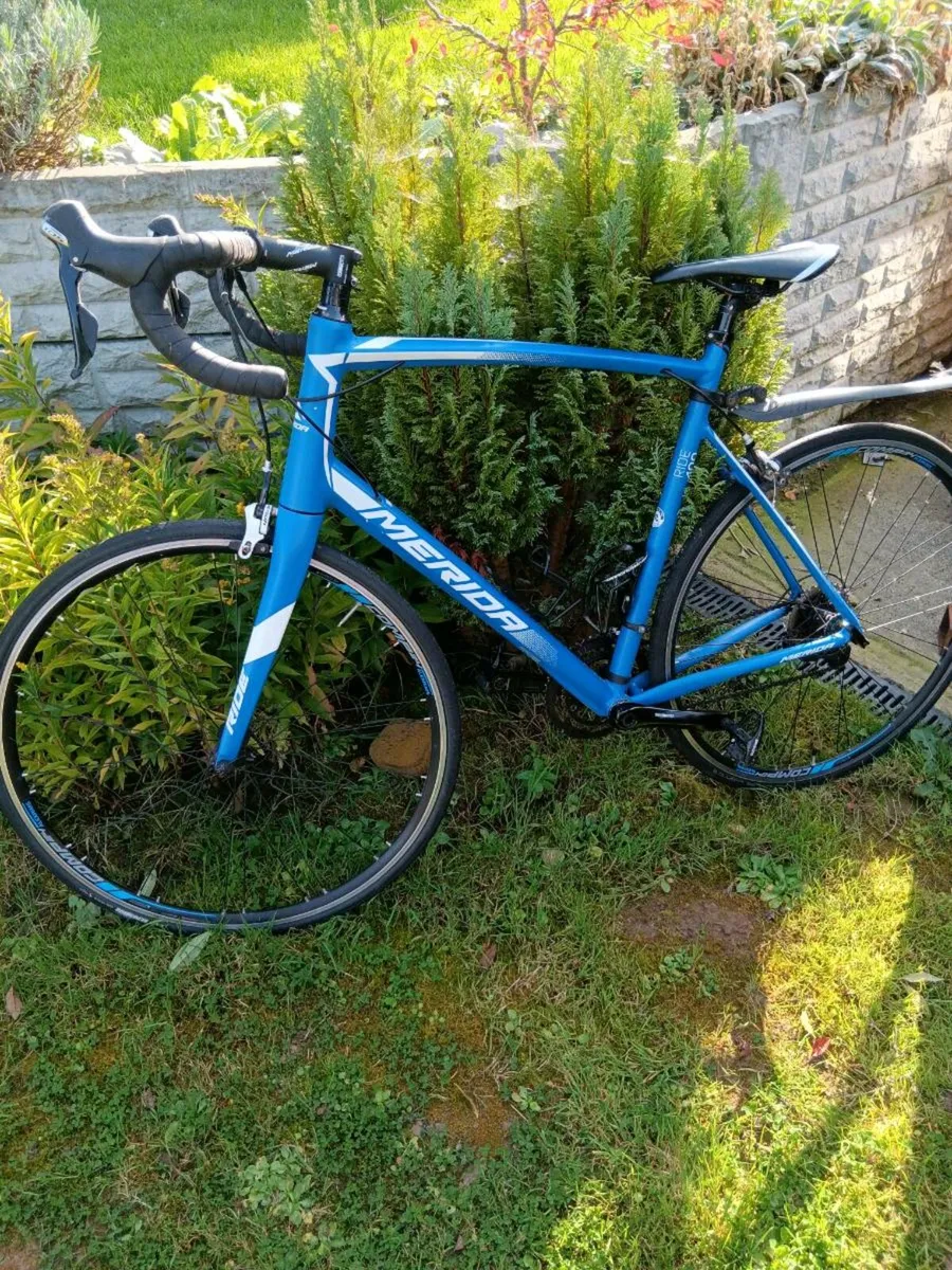 Racer bike - Image 1