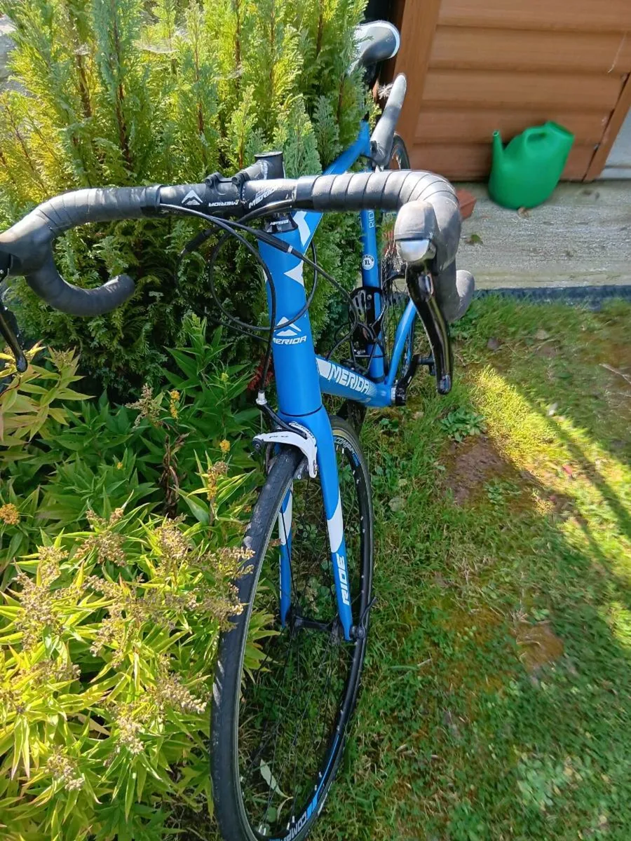 Racer bike - Image 2