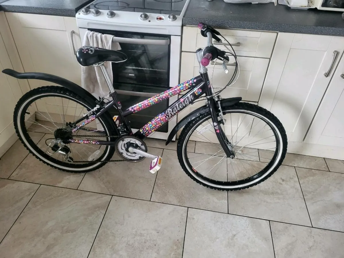 Bike - Image 1