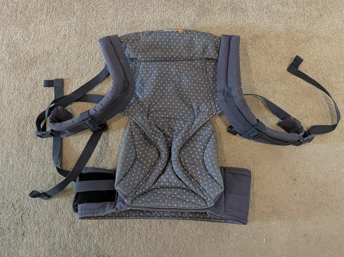 Ergo 360 Baby Carrier with Newborn Insert - Image 2