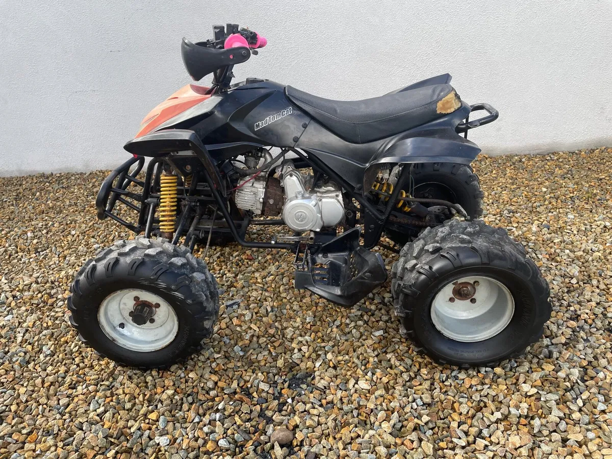 Mad tom cat 110 cc Quad - Image 4