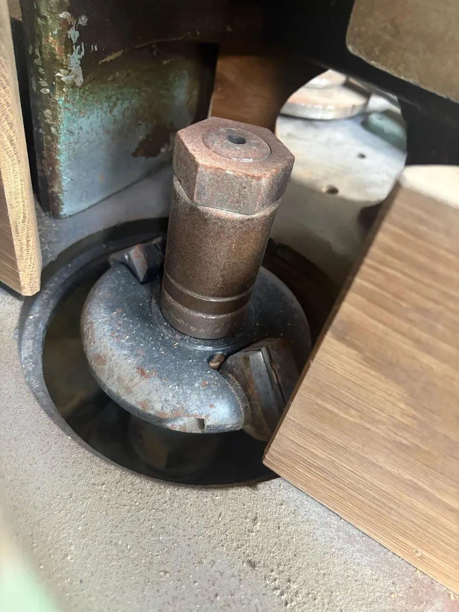 Wilson spindle moulder with maggi feed and tooling - Image 3