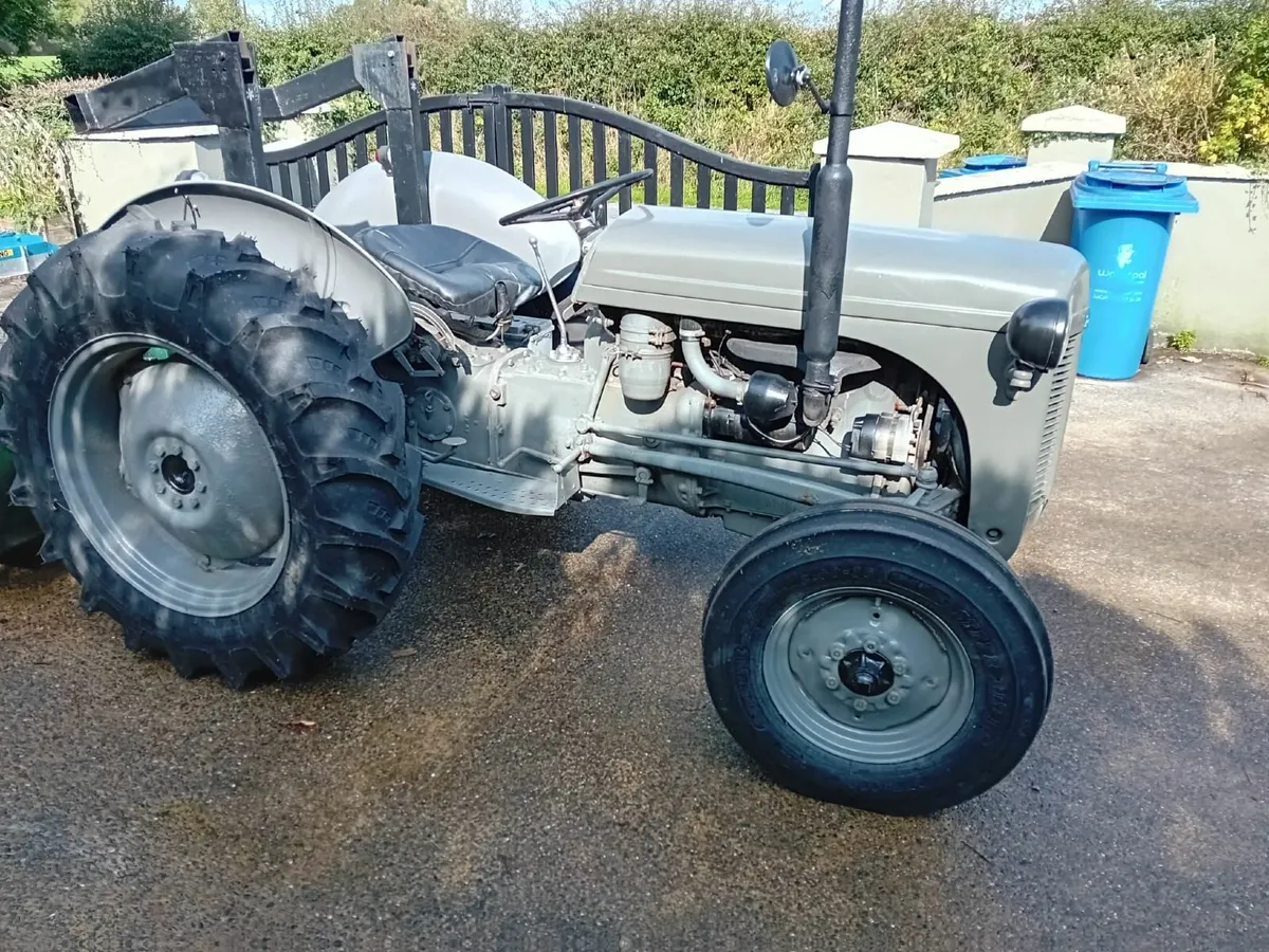 Vintage Tractor Massey Ferguson 1953 - Image 1