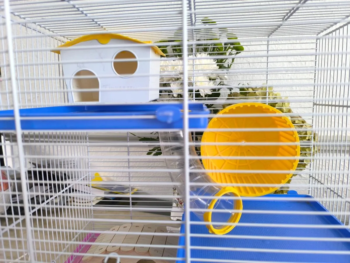 Hamster cage - Image 4