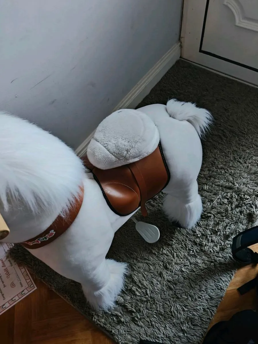 Ponycycle - Image 3