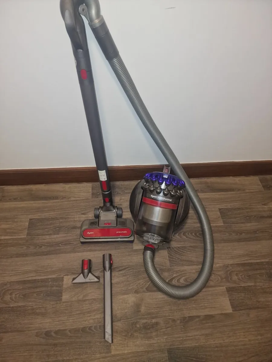 Dyson Big Ball Animal - Image 1