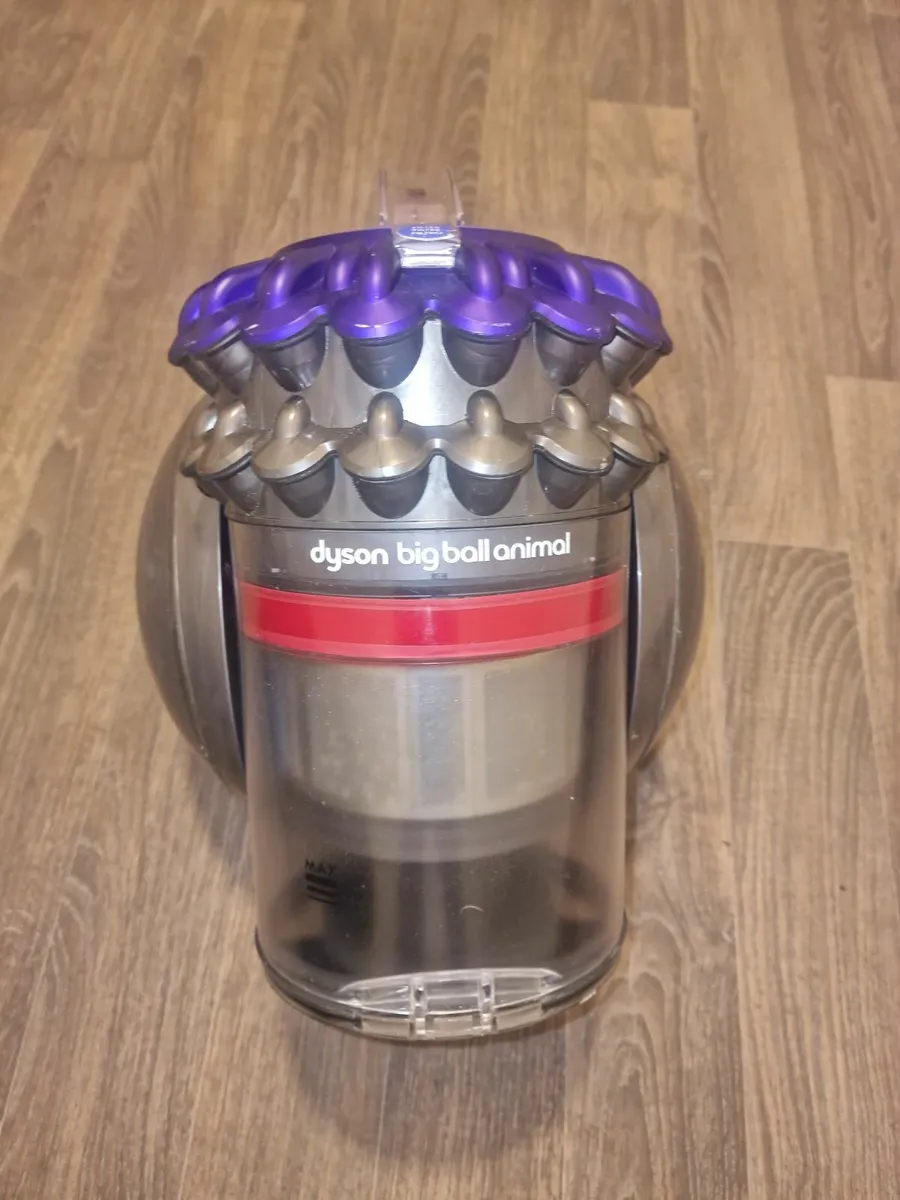 Dyson Big Ball Animal - Image 3