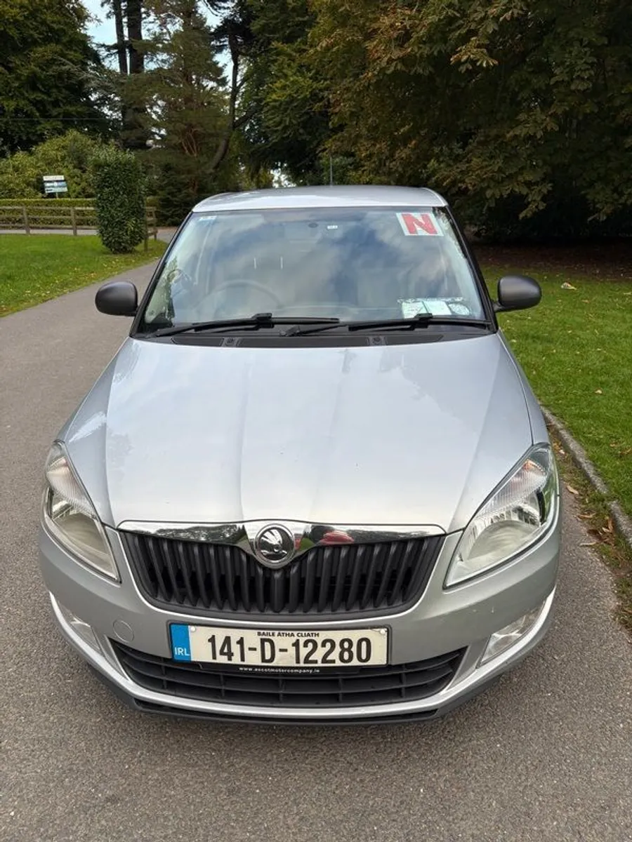 2014 Skoda Fabia - Image 3