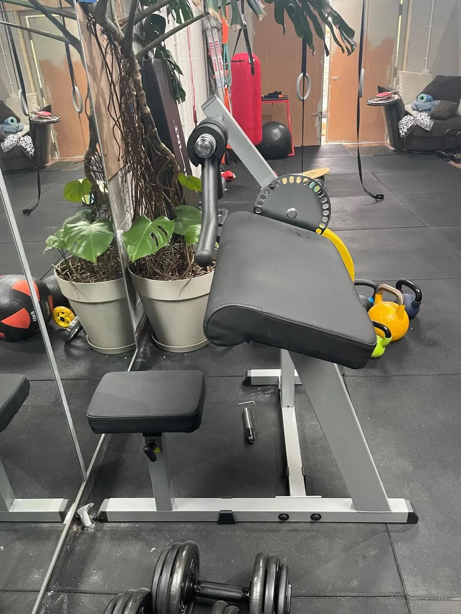 Bodysolid Biceps and Triceps Machine - Image 3