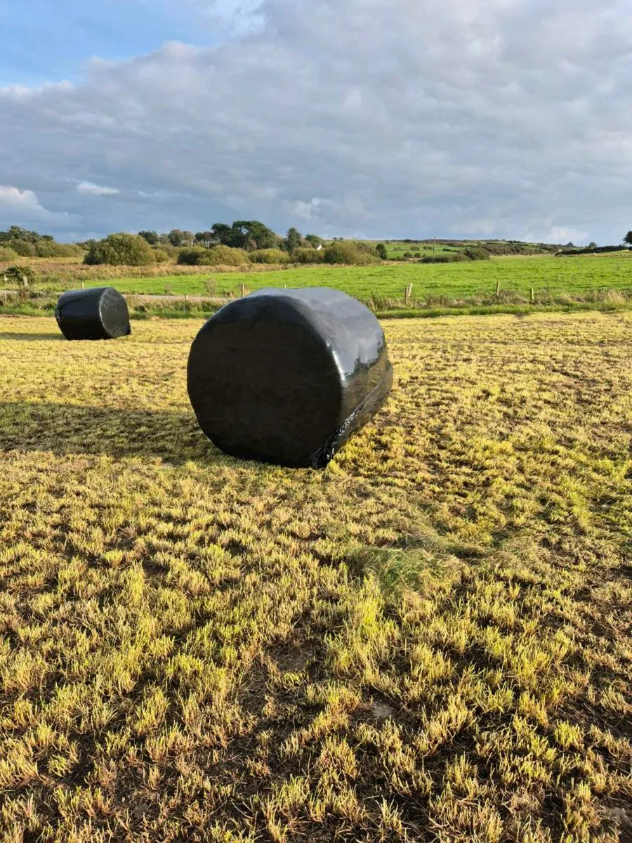 Silage