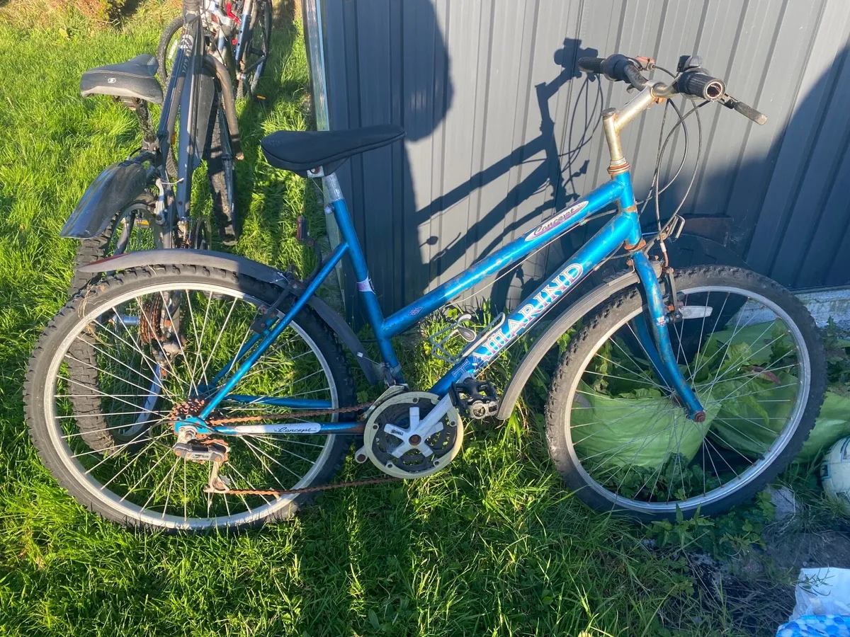 Bike - Image 2