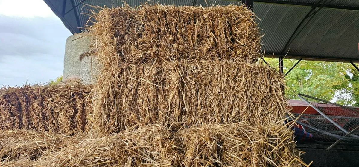 Square Bales - Image 1