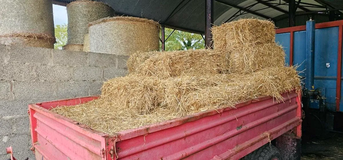 Square Bales - Image 2
