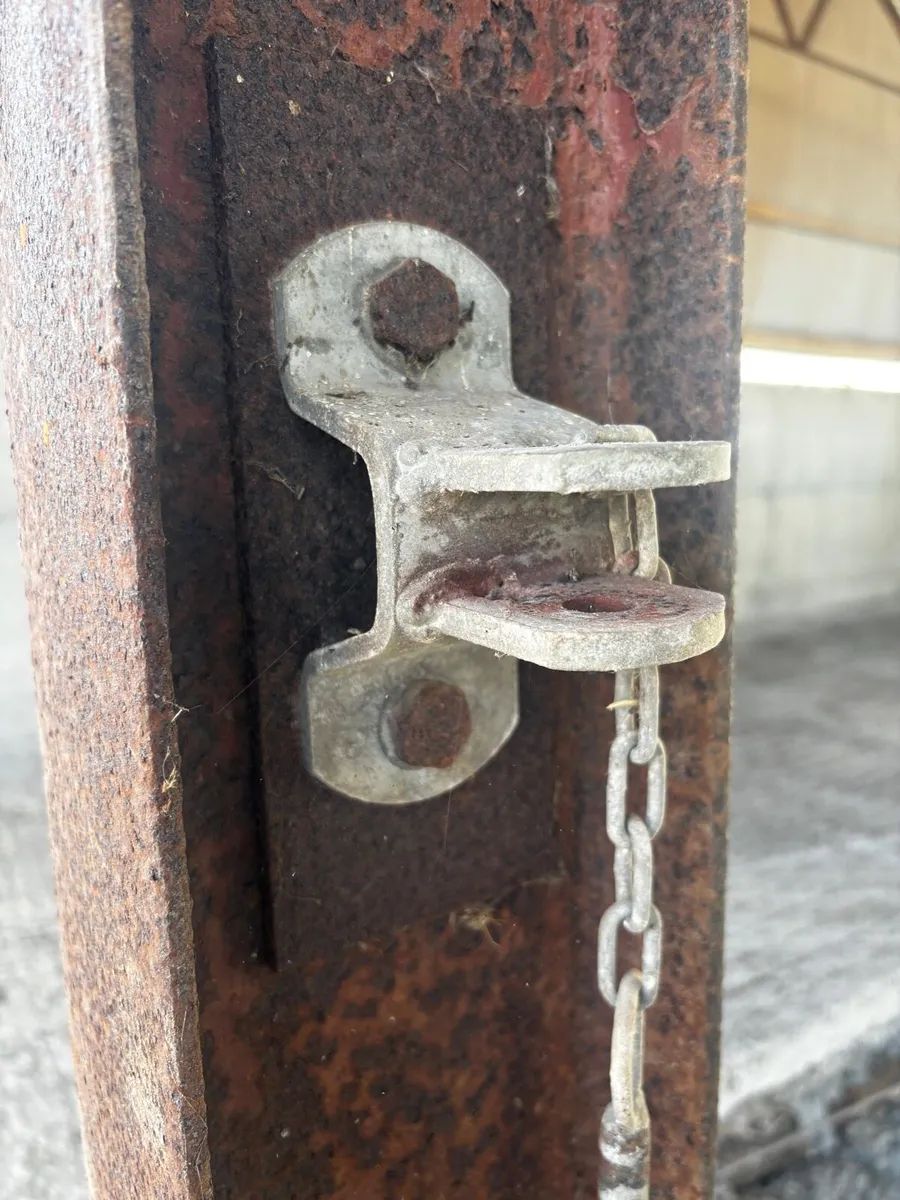 Condon Feed Barrier Gates - Image 2