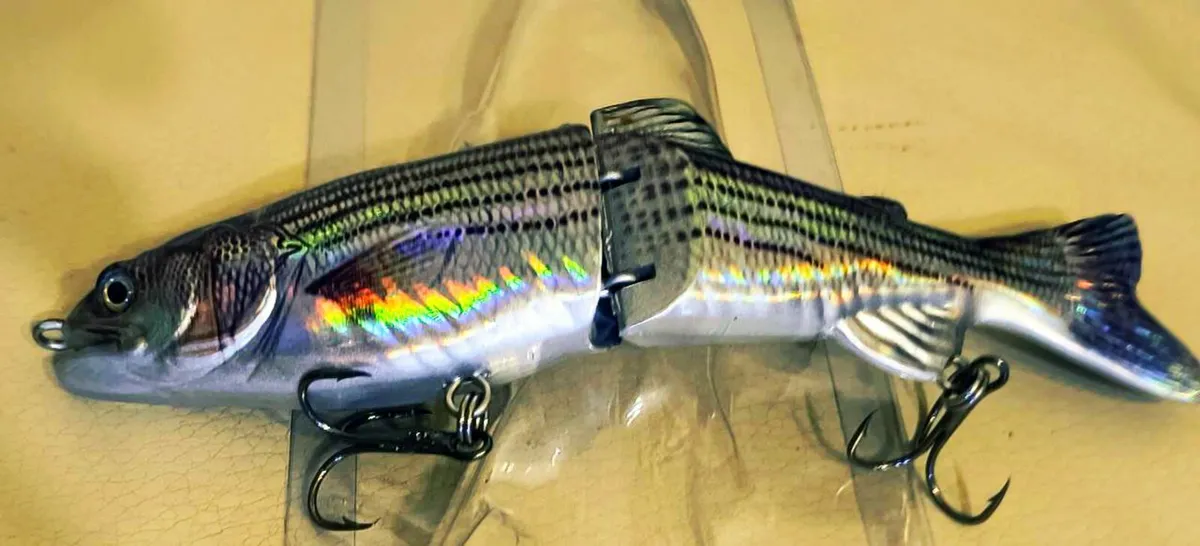 Fishing Lures plastic  For Pike free delivery - Image 1