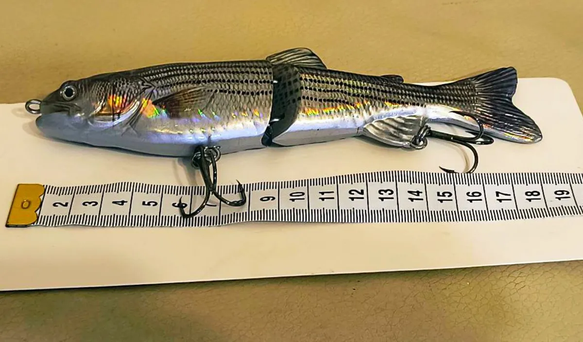 Fishing Lures plastic  For Pike free delivery - Image 4