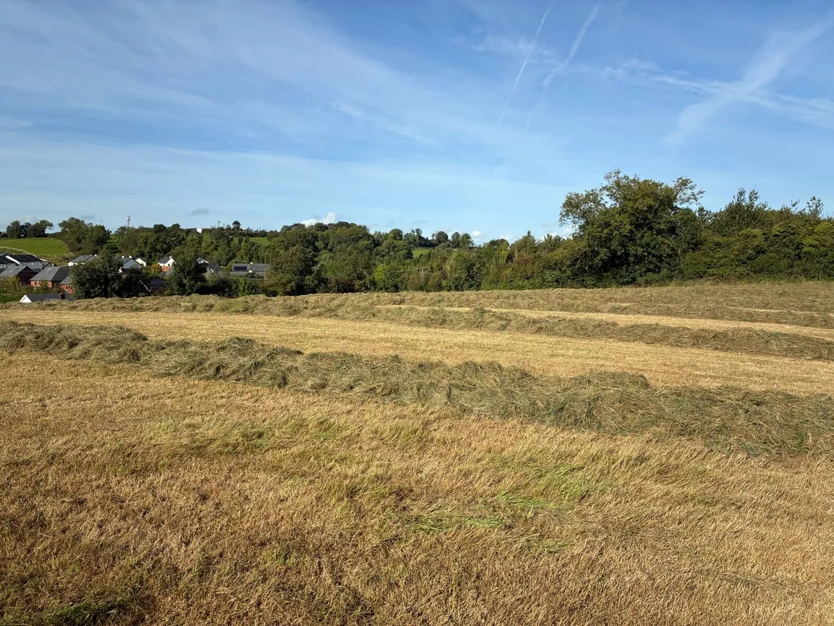 Silage bales - Image 2