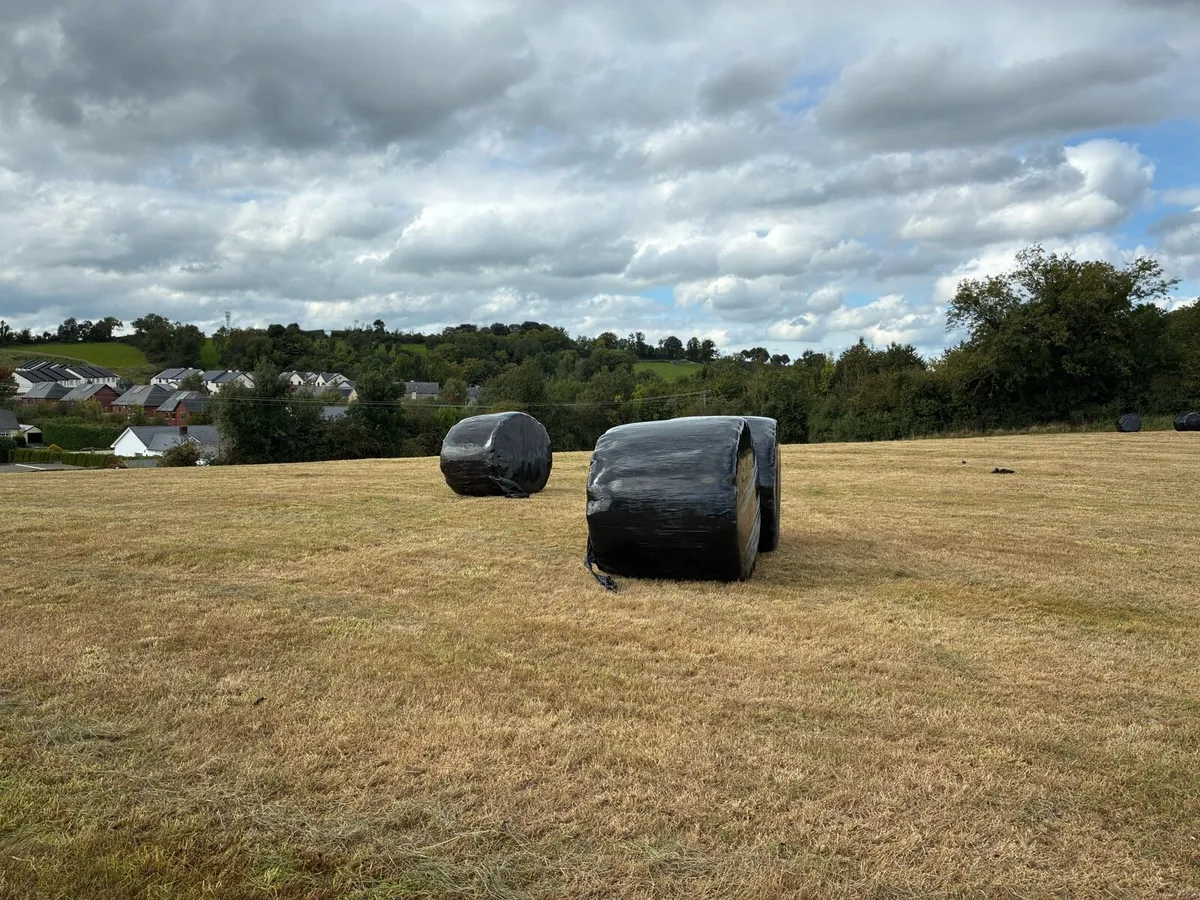 Silage bales - Image 3